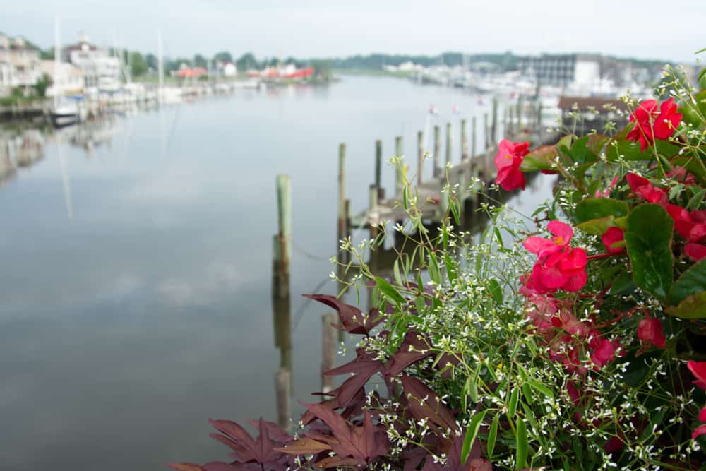 A view of Lewes, Delaware